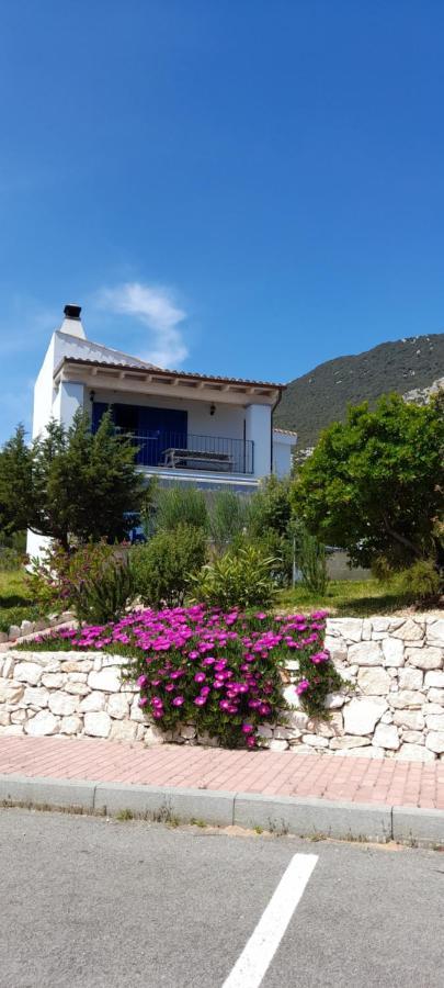 דירות קאלה גונונה Casa Azzurra מראה חיצוני תמונה